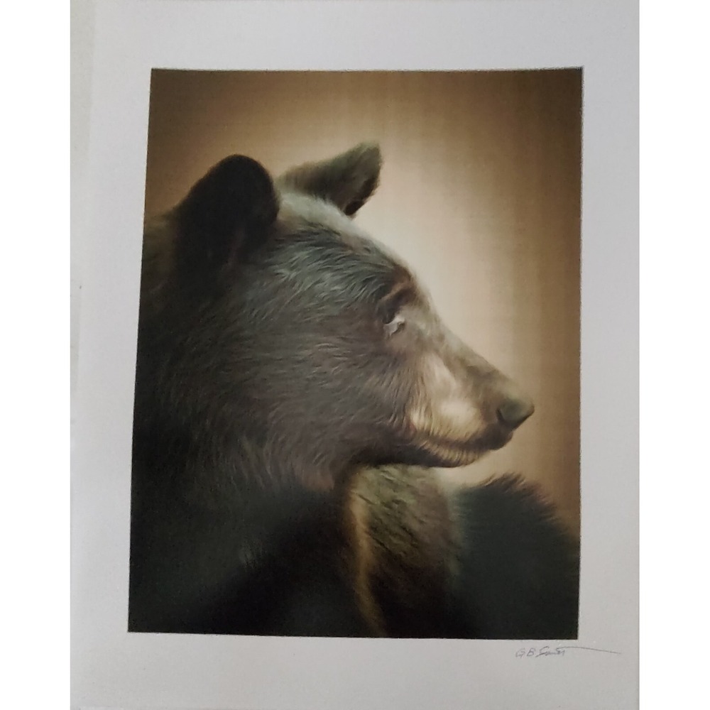 GB Smith Black Bear Fusion Original Photograph Creative Arts‎ 11x14 In